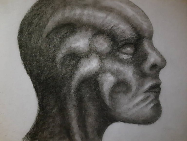 20240923_120829.jpg