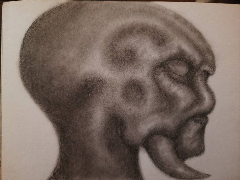 20250505_114505.jpg
