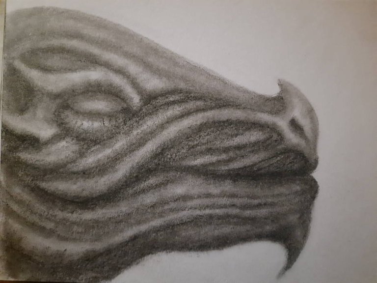 20240824_121939.jpg