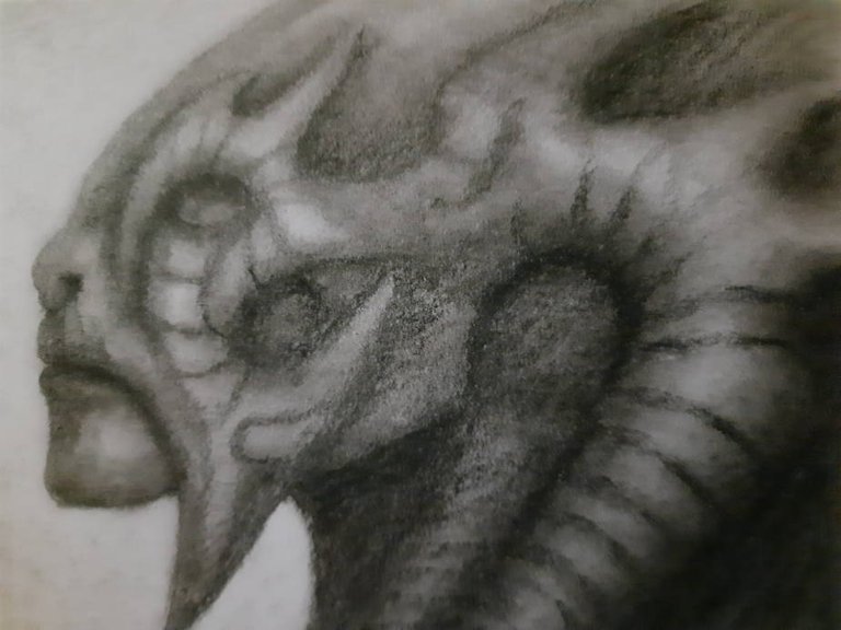 20240815_104457.jpg