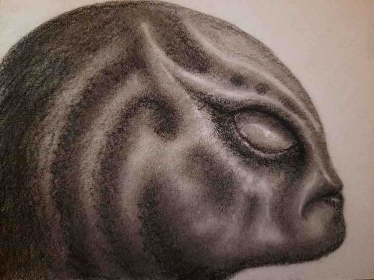 20250508_114545.jpg