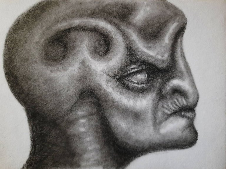 20250131_114242.jpg