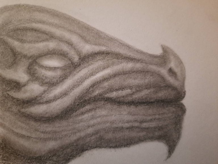 20240824_115944.jpg