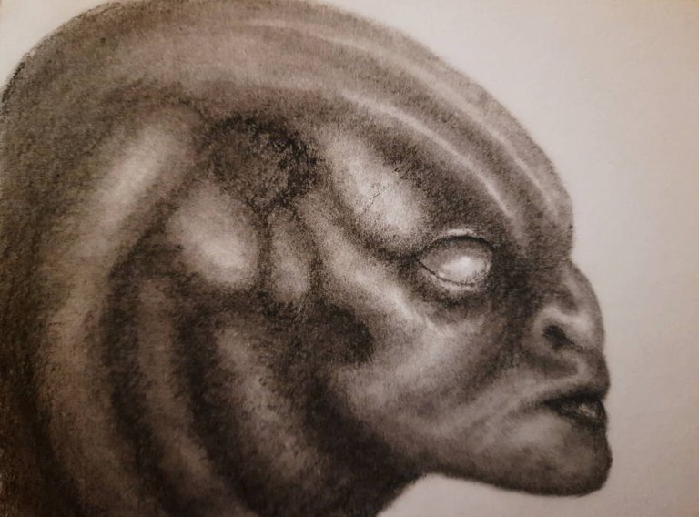 20250523_112337.jpg