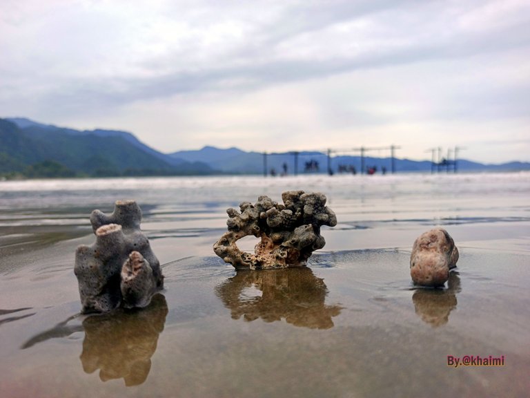 Batu Karang Pantai (6).jpg