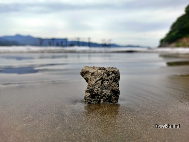 Batu Karang Pantai (1).jpg