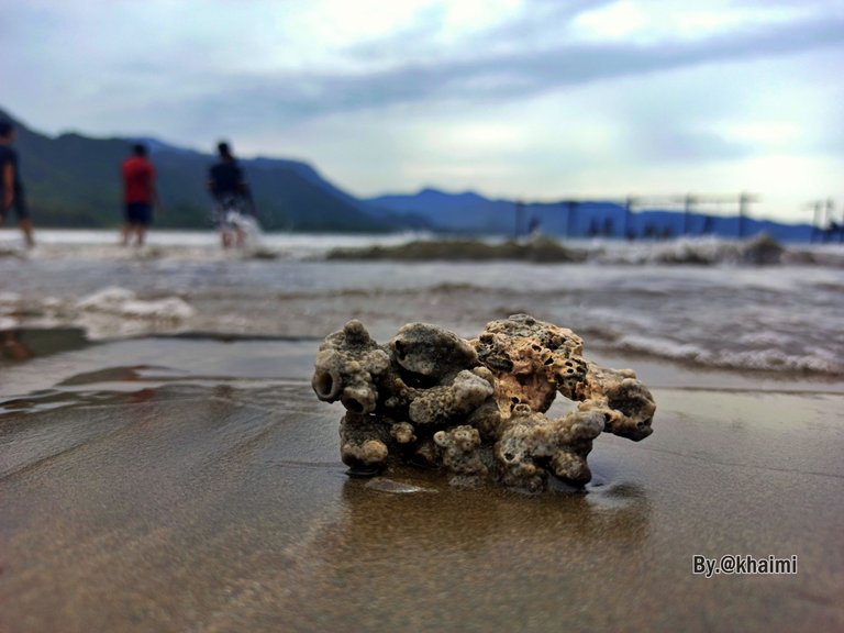 Batu Karang Pantai (2).jpg