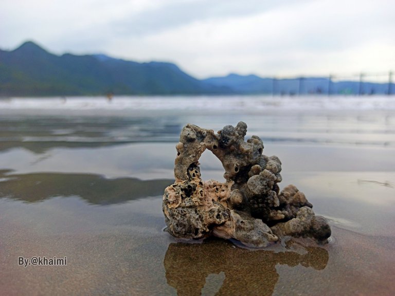 Batu Karang Pantai (3).jpg