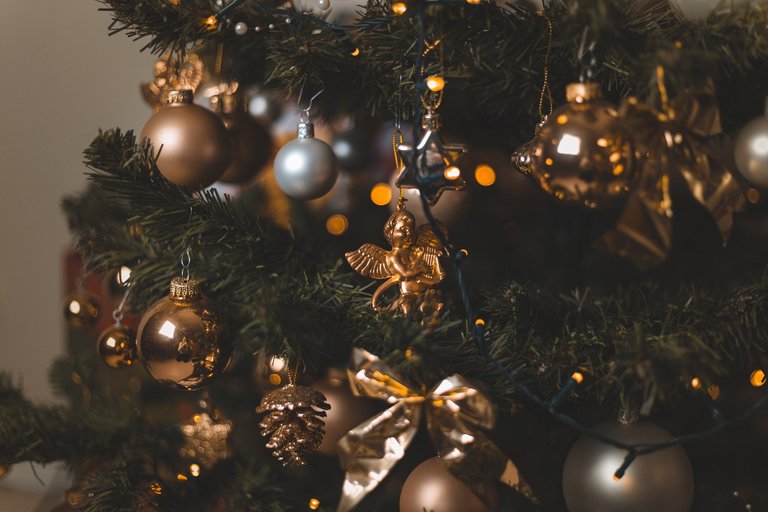 christmas-tree-5758765_1920.jpg