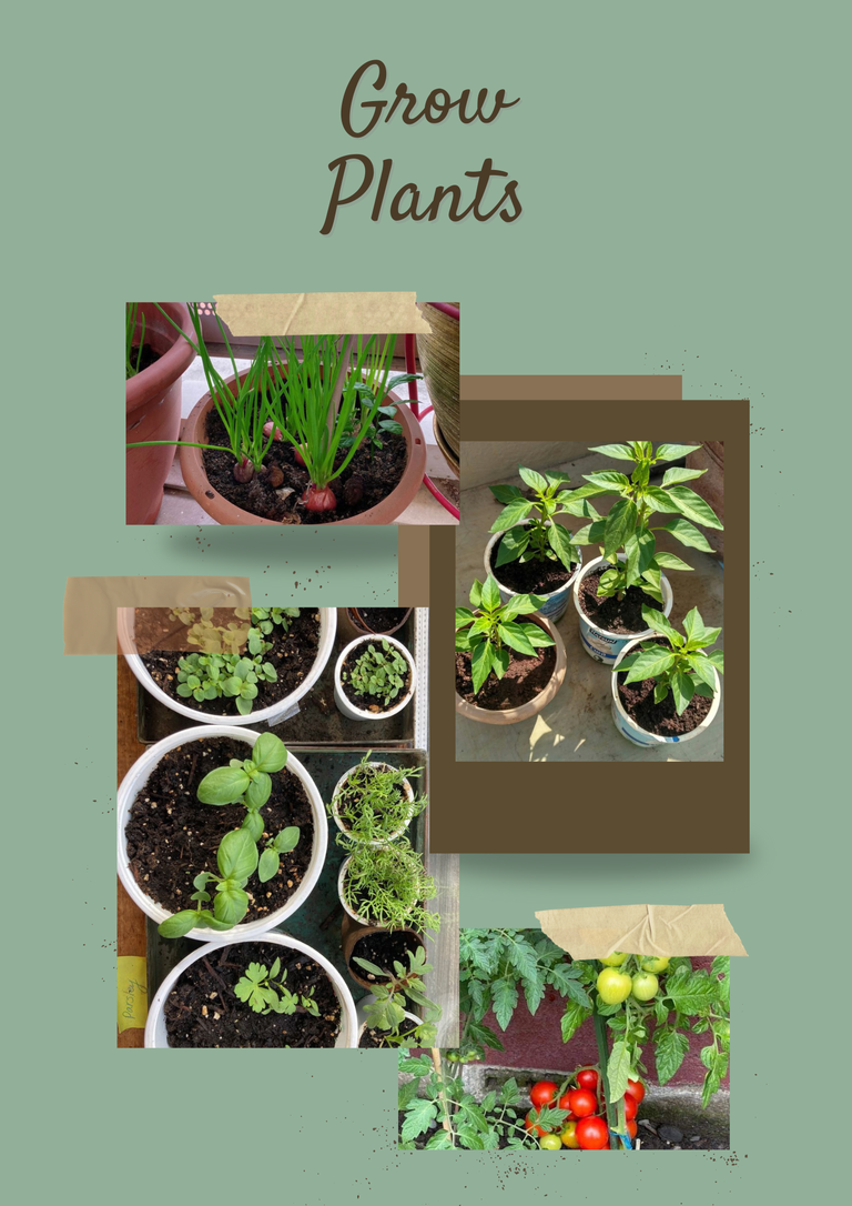 plants.png