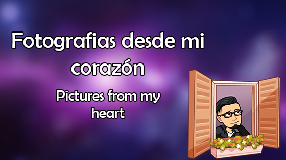 Fotos desde mi corazon - Pics from my heart