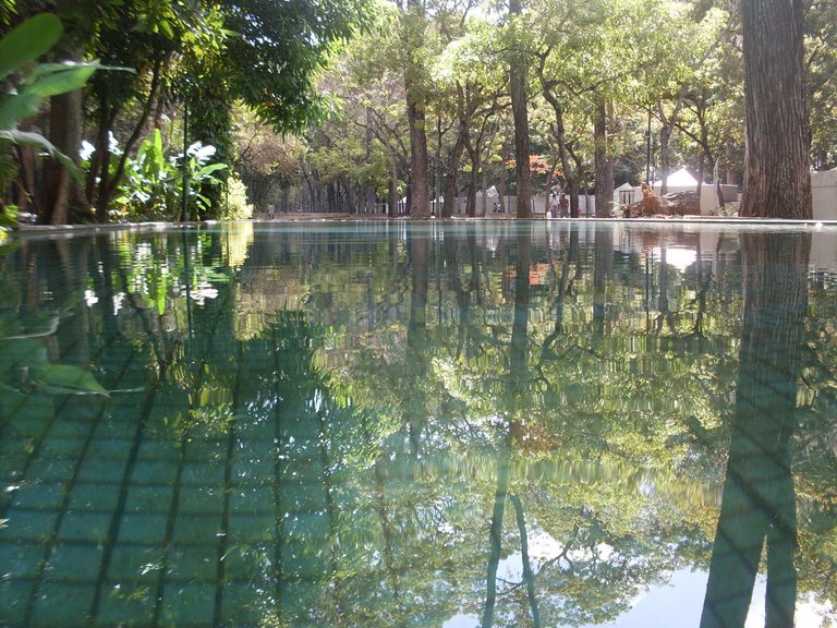 Espejo de Agua - Water Glass