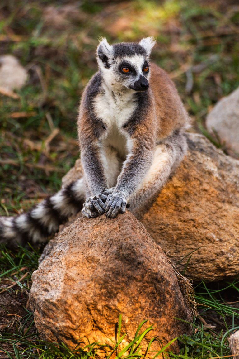 Madagascar_072.jpg