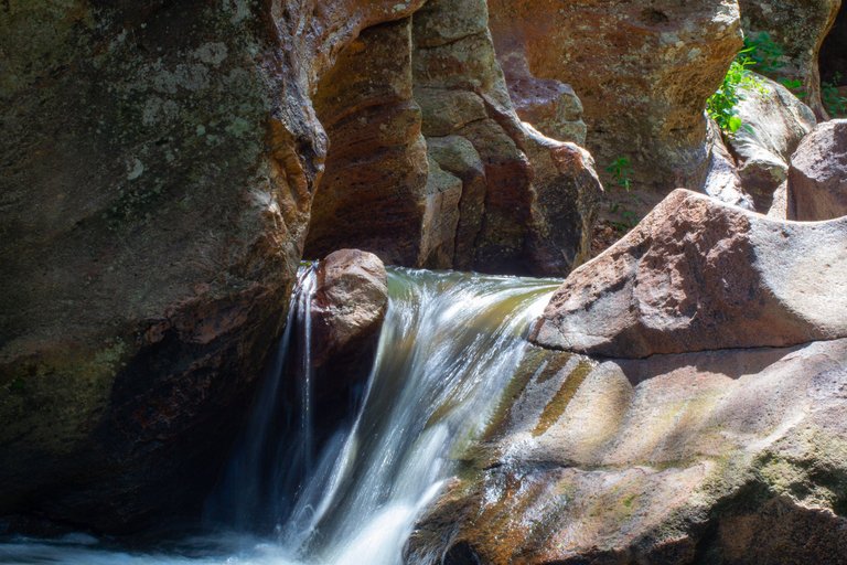 _DSC1374.jpg