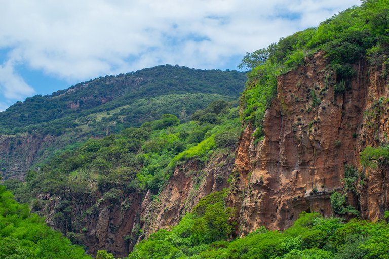 _DSC1302.jpg