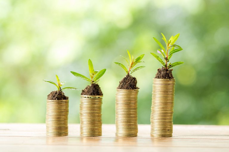 coin-wooden-table-blurred-nature.jpg