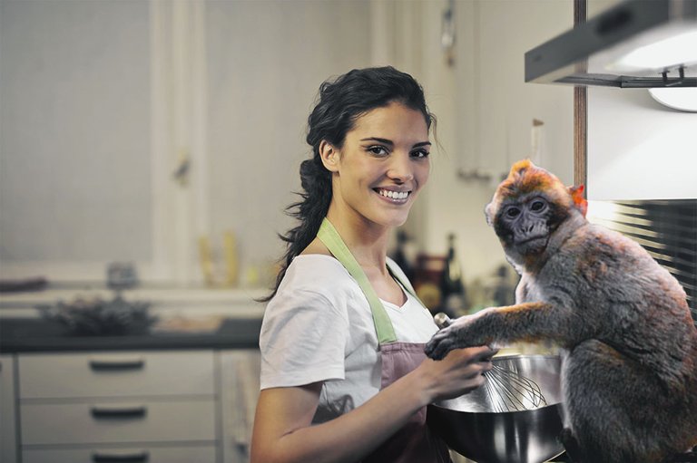 cooking monkey.jpg
