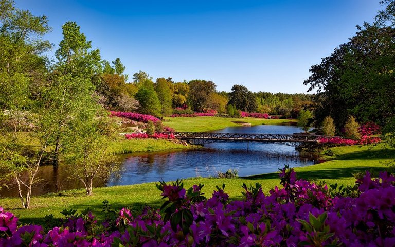 bellingrath-gardens-alabama-landscape-scenic-158063.jpg