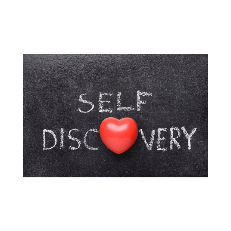 Self discover.png