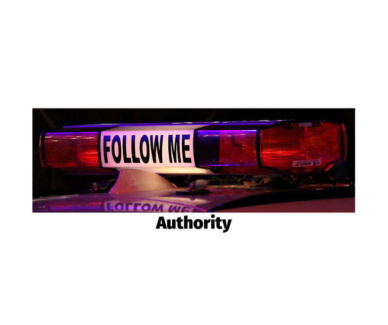 authority 1.png