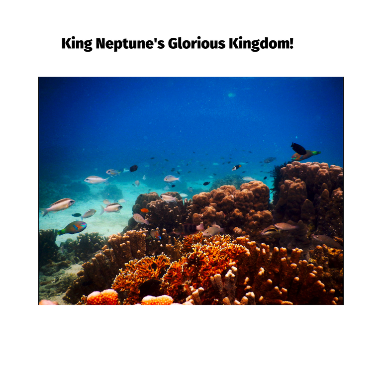 King Neptune's Glorious Kingdom.png