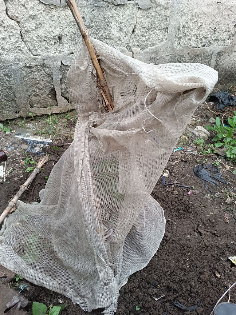 1001771315.jpg