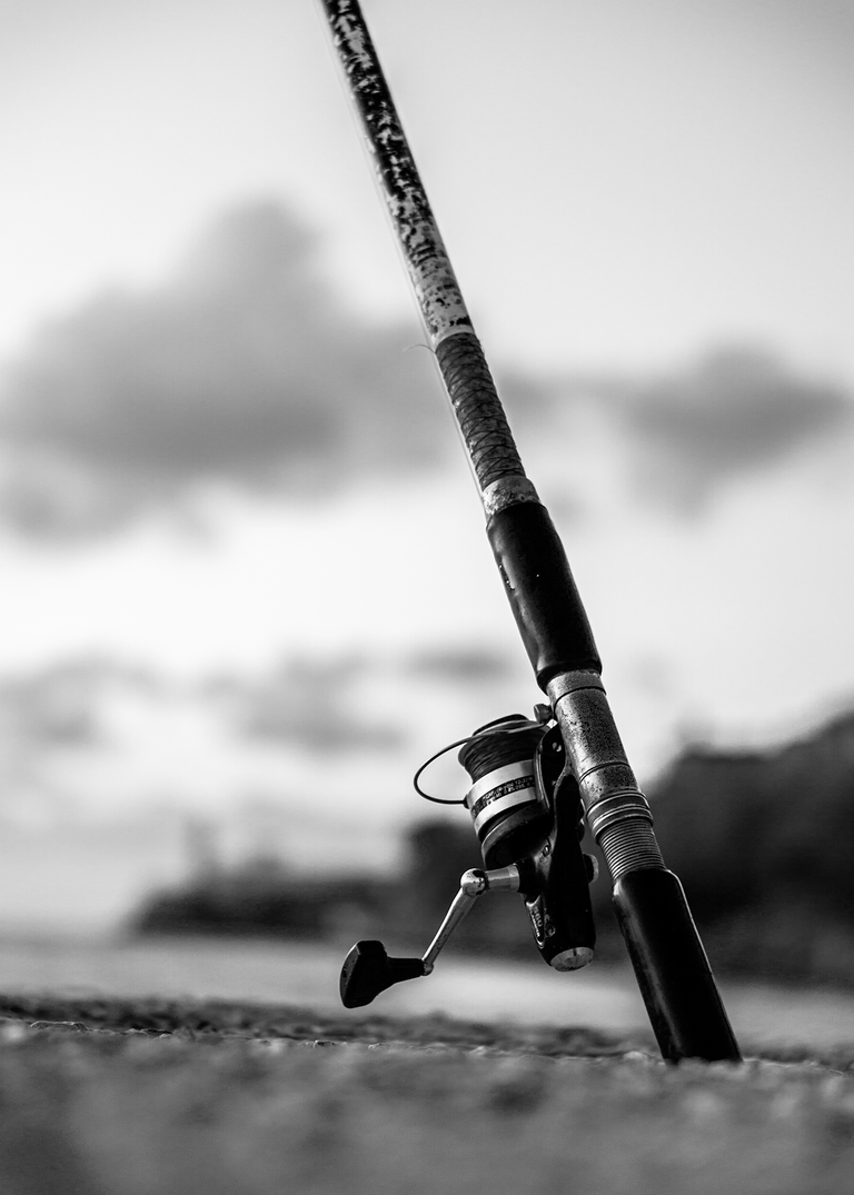 _DSC2321.png