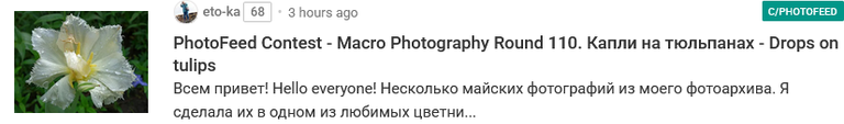 grafik.png