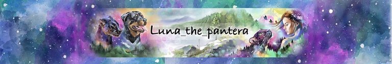  YT-Perlen - Kanäle die jeder kennen sollte  -  85 -  Luna_the_pantera