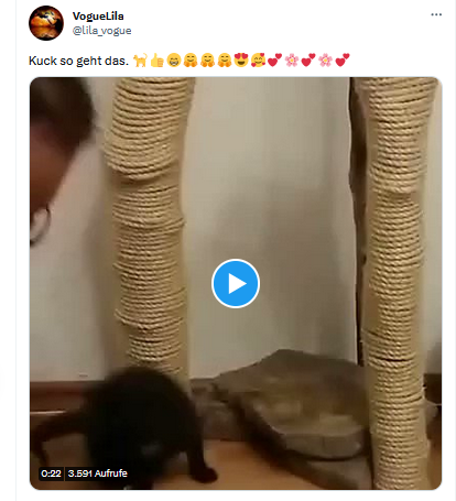 grafik.png