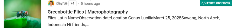 grafik.png