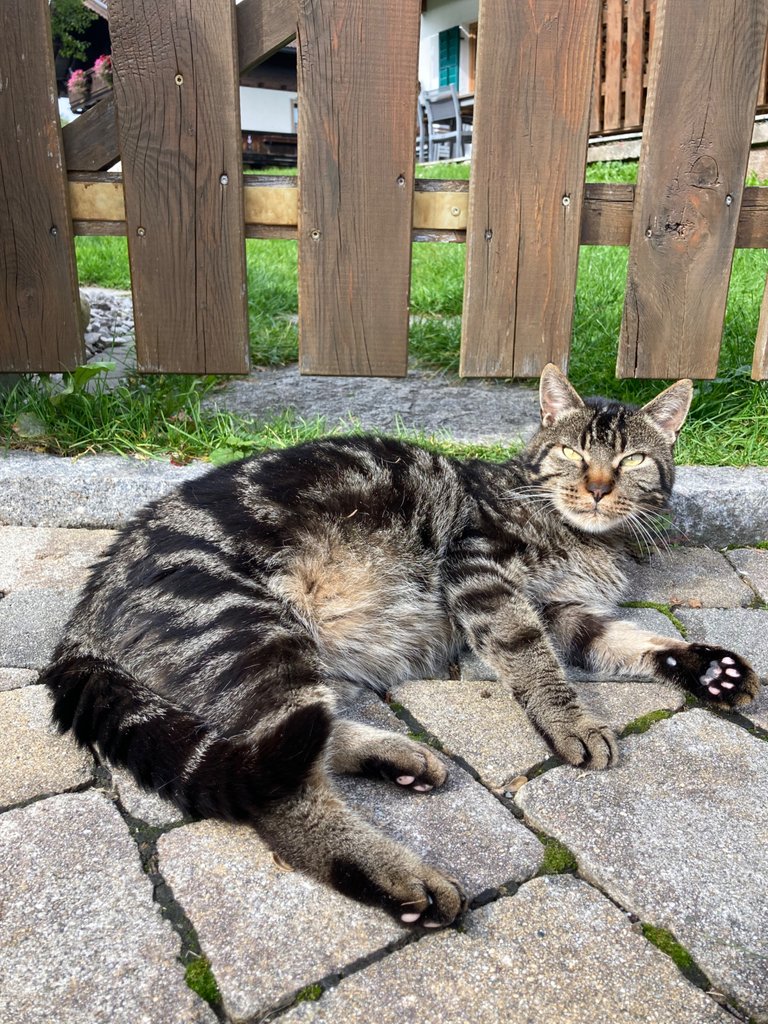 7572777E-E621-48BB-8B9B-BF8D822A1A47.jpeg