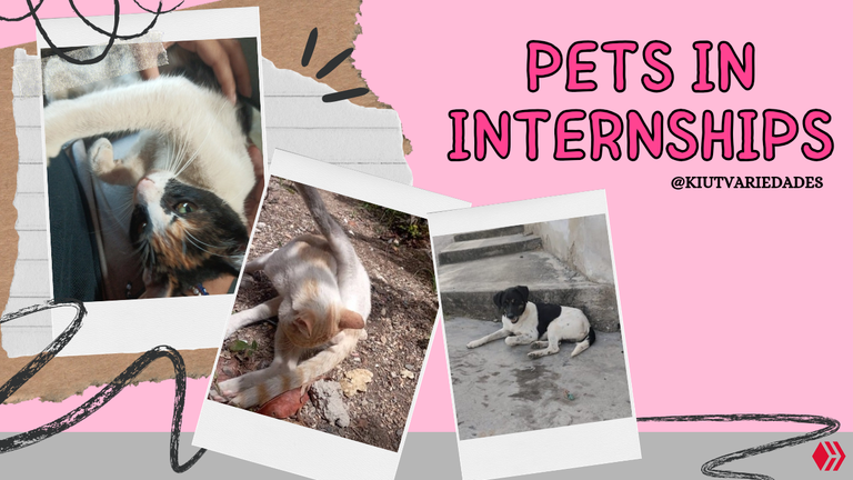 Image of my property created in Canva