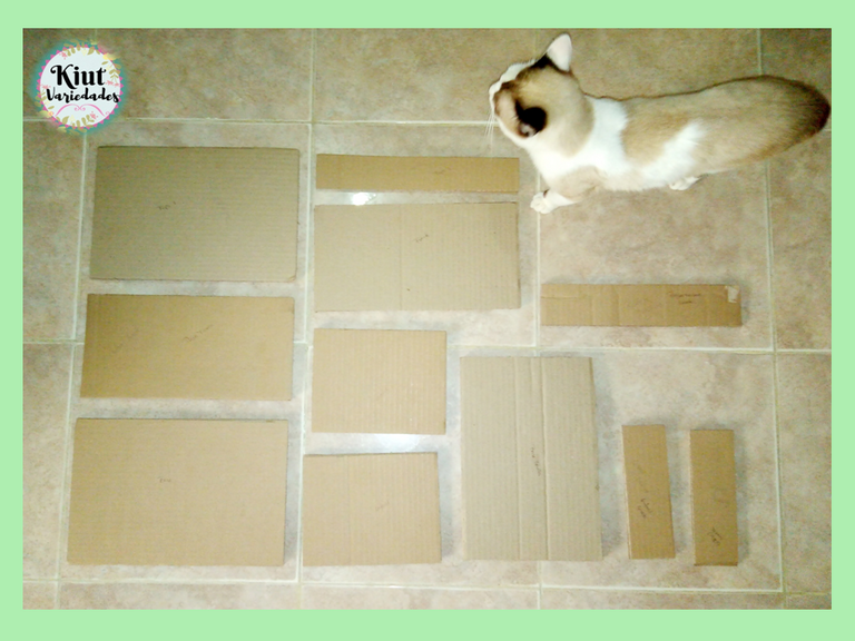 El gato no forma parte de las piezas || The cat is not a piece to be cut