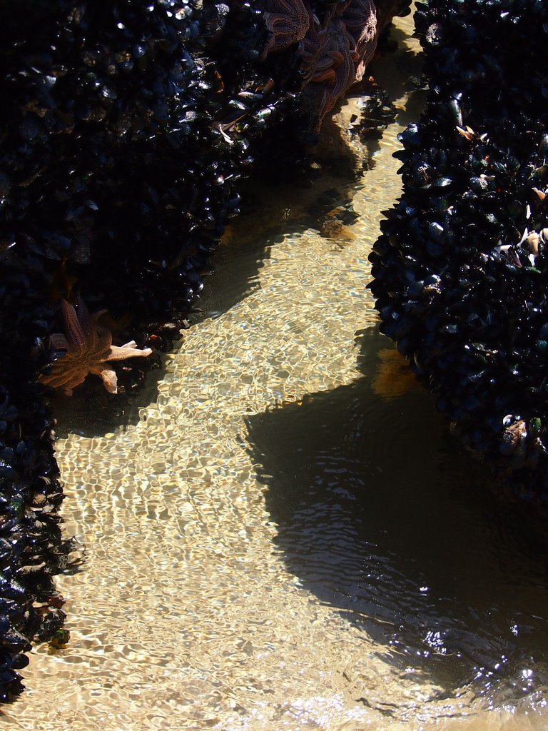 P1017117.JPG