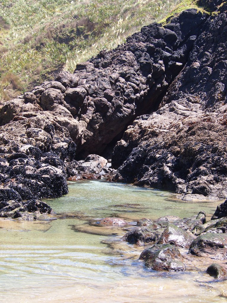 P1017109.JPG