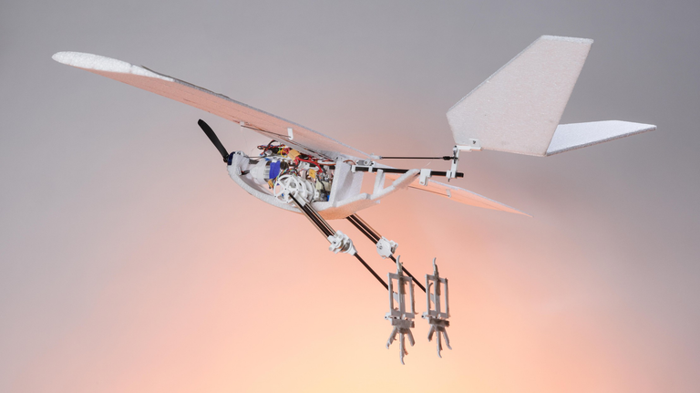 EPFL RAVEN
