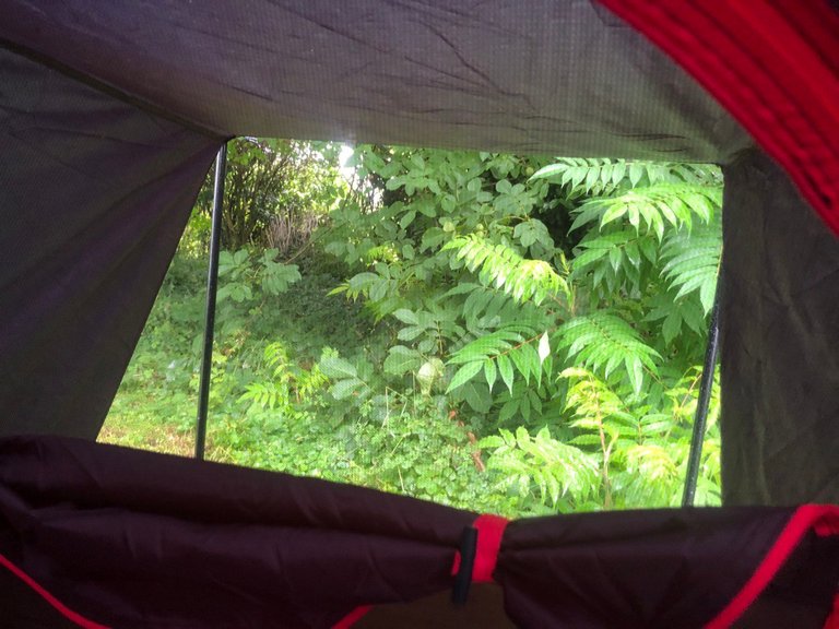 Ausblick aus meinem Zelt beim Hivecamp, zwischenzeitlich regnete es heftig, aber das Zelt hielt dich