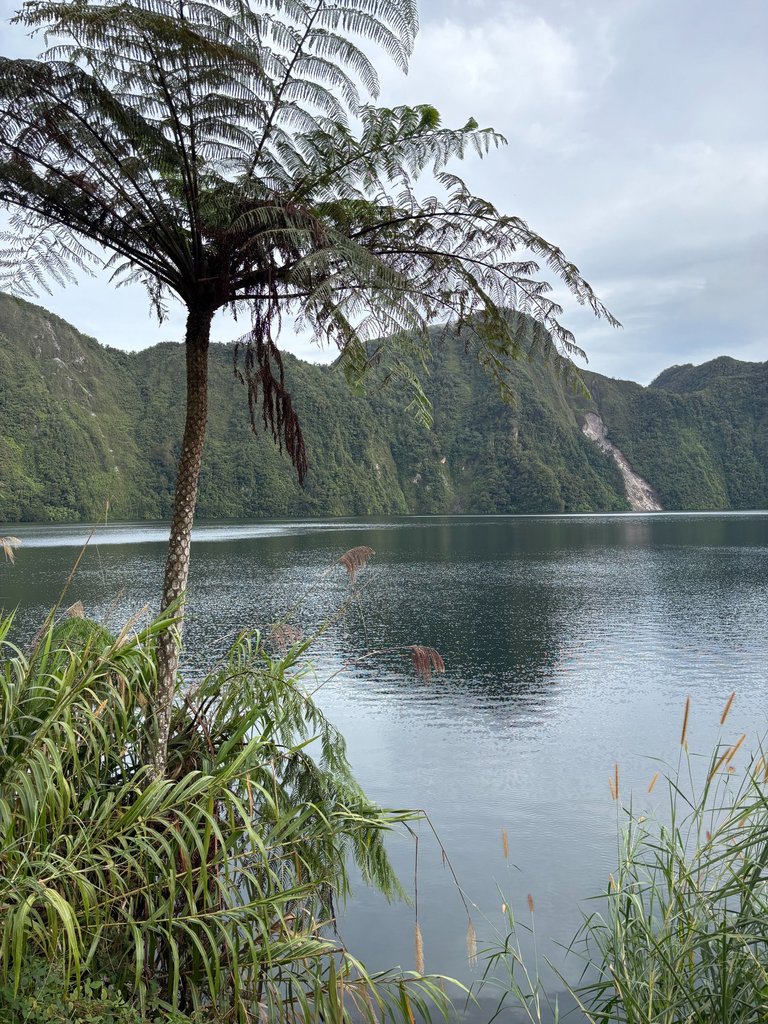IMG_9832 (1).jpeg