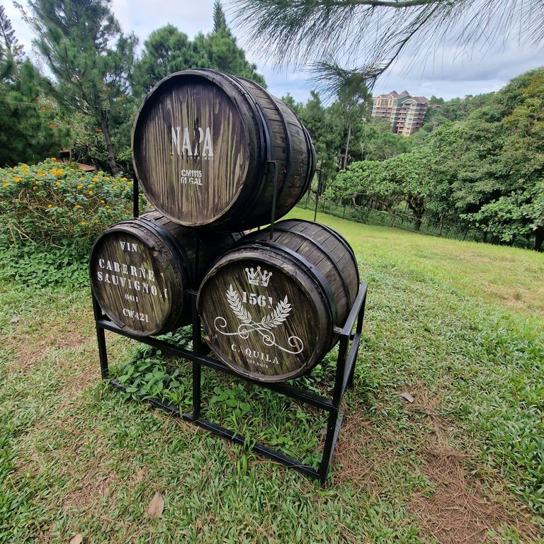 wine-barrel.jpg