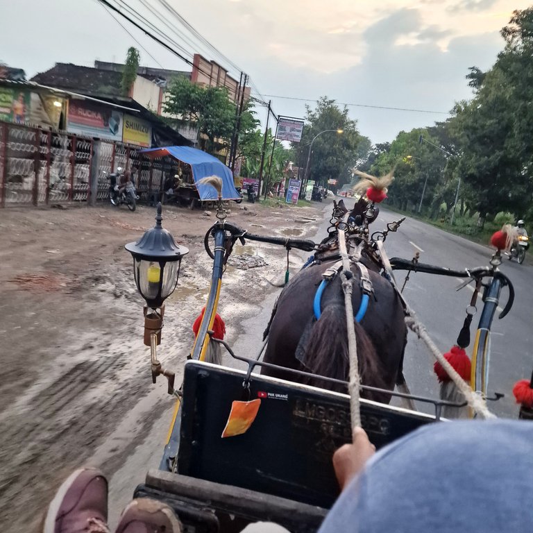 Naik_andhong.jpg