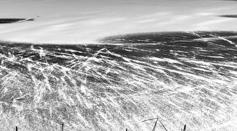 20250213_081240.jpg