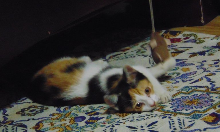 DSC05148.JPG