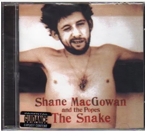 snake shane macgowan.jpg