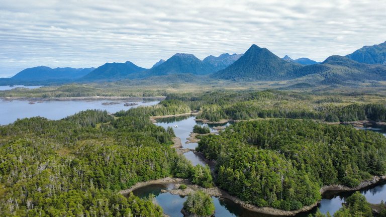 dji_fly_20250823_100414_659_1755972632255_photo_optimized.jpg