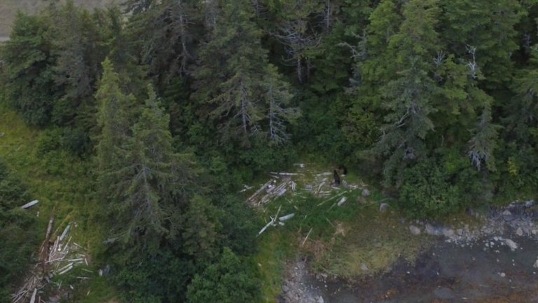 VideoCapture_20250904-140235.jpg