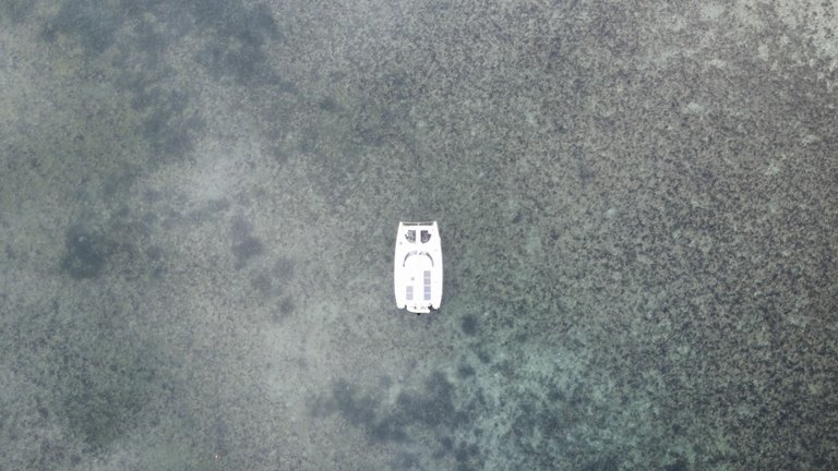 dji_fly_20250713_092922_176_1752427775959_photo_optimized.jpg