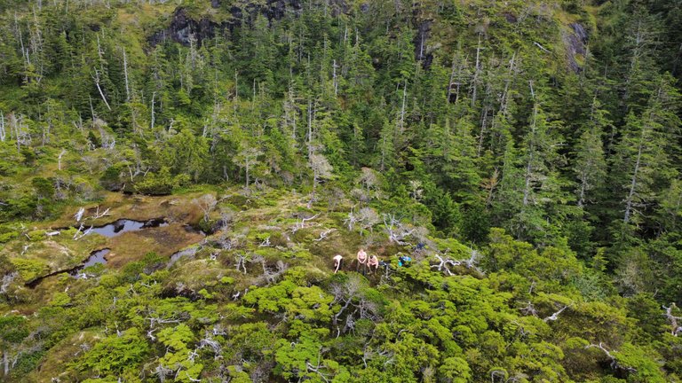 dji_fly_20250820_151314_647_1755731605299_photo_optimized.jpg
