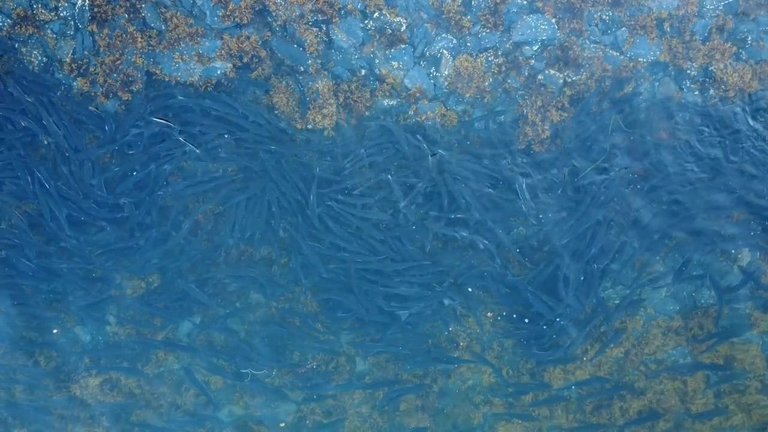 VideoCapture_20250813-105045.jpg