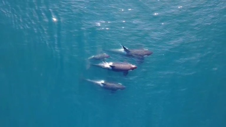 VideoCapture_20250810-120006.jpg